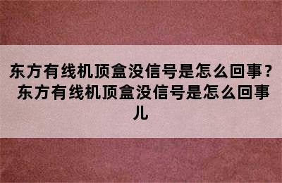 东方有线机顶盒没信号是怎么回事？ 东方有线机顶盒没信号是怎么回事儿